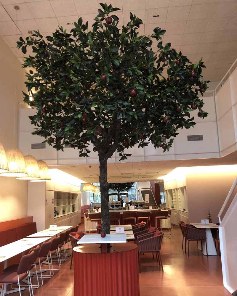 Arbres fruitiers