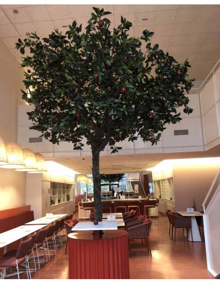 Arbres fruitiers